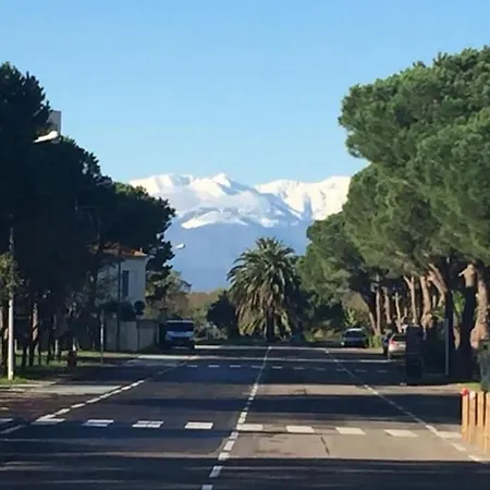 Au Calme Entre Les Pins A 300m De La Apartment *