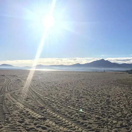 Au Calme Entre Les Pins A 300m De La