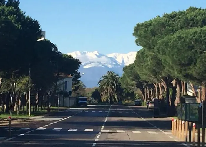 Au Calme Entre Les Pins A 300m De La Apartment *